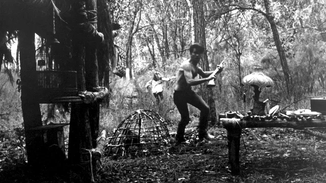 Photo du film : La balade sauvage