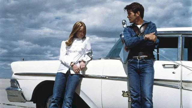 Photo du film : La balade sauvage