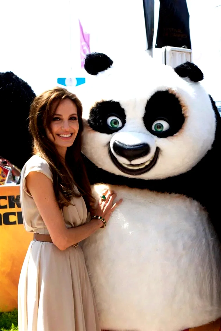 Photo du film : Kung Fu Panda 2
