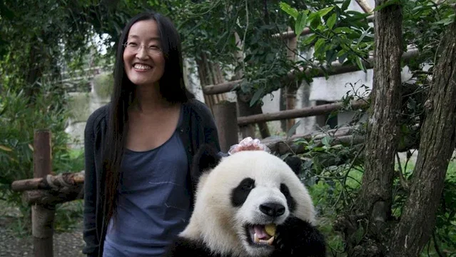 Photo du film : Kung Fu Panda 2