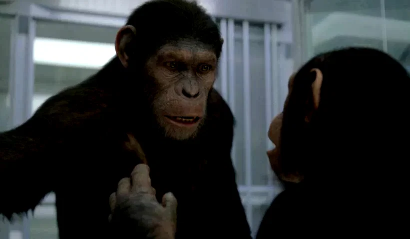 Photo 3 du film : La planète des singes : les origines 