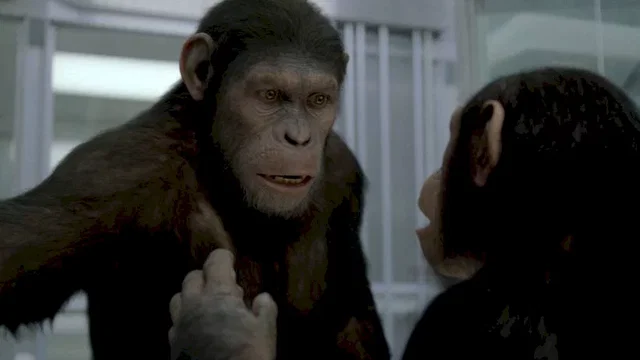 Photo du film : La planète des singes : les origines 