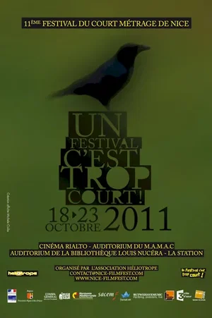 Affiche du film : Un Festival c'est trop court