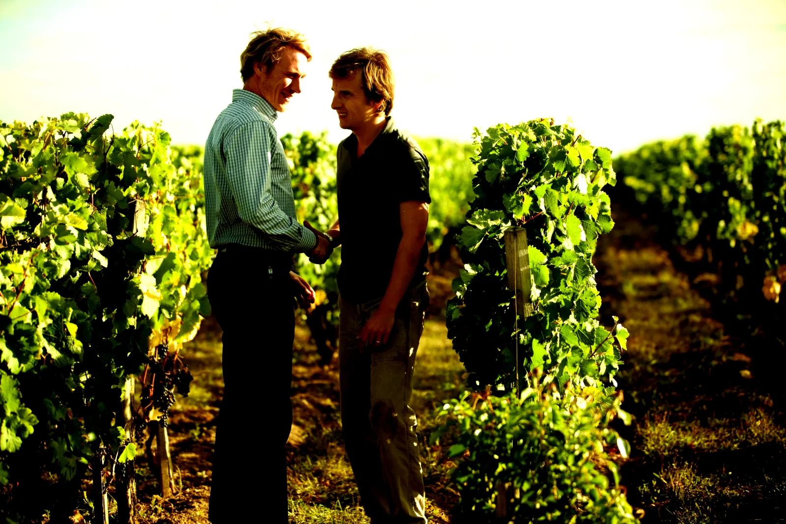 Photo 9 du film : Tu seras mon fils