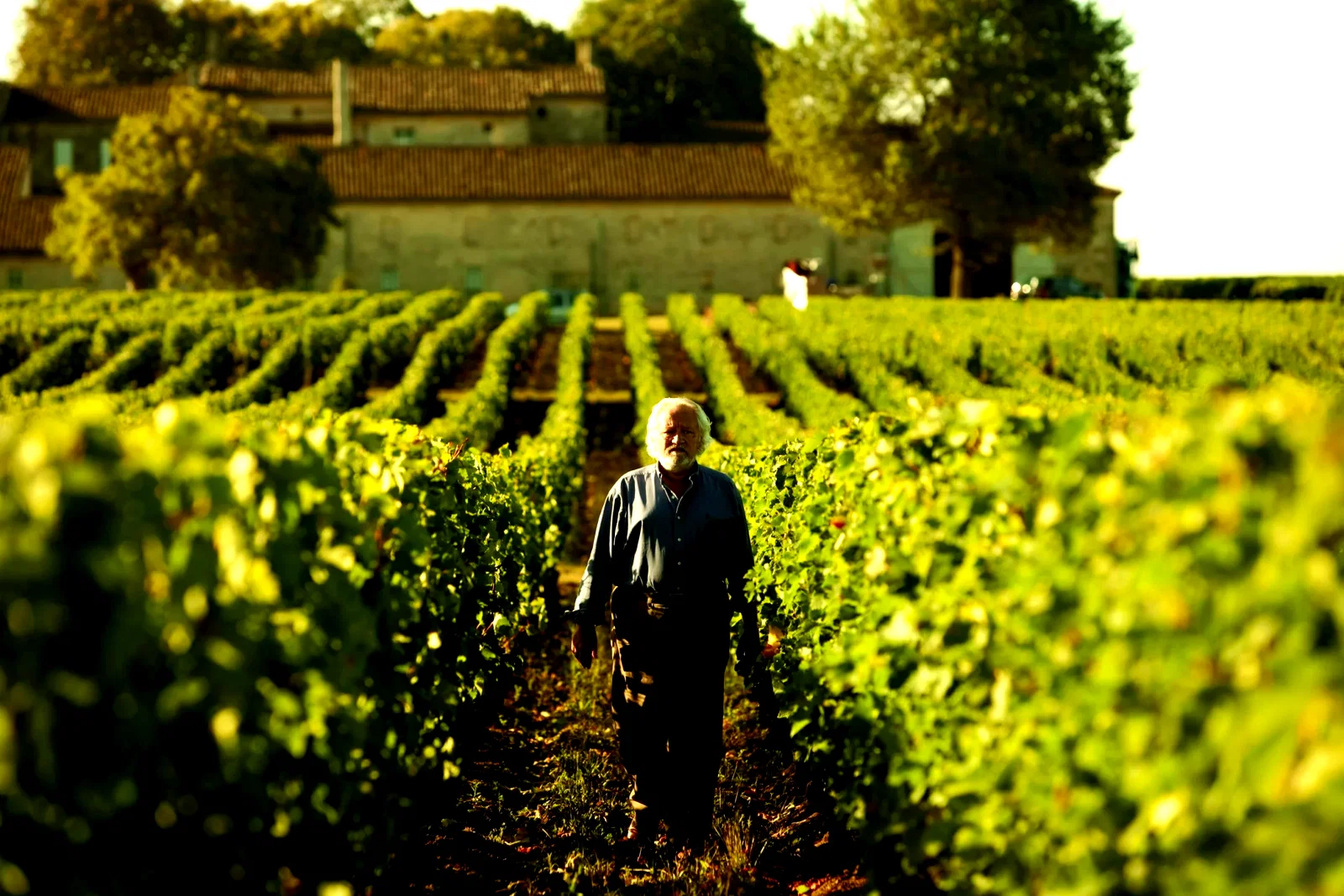 Photo 11 du film : Tu seras mon fils