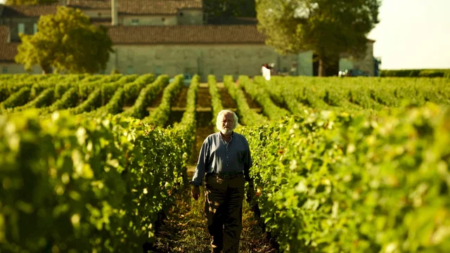 Photo du film : Tu seras mon fils