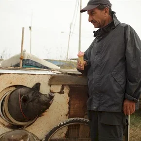 Photo du film : Le cochon de Gaza