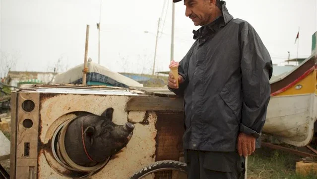 Photo du film : Le cochon de Gaza