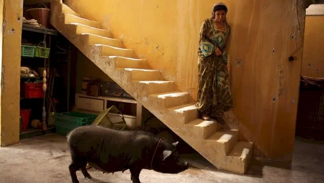 Photo du film : Le cochon de Gaza