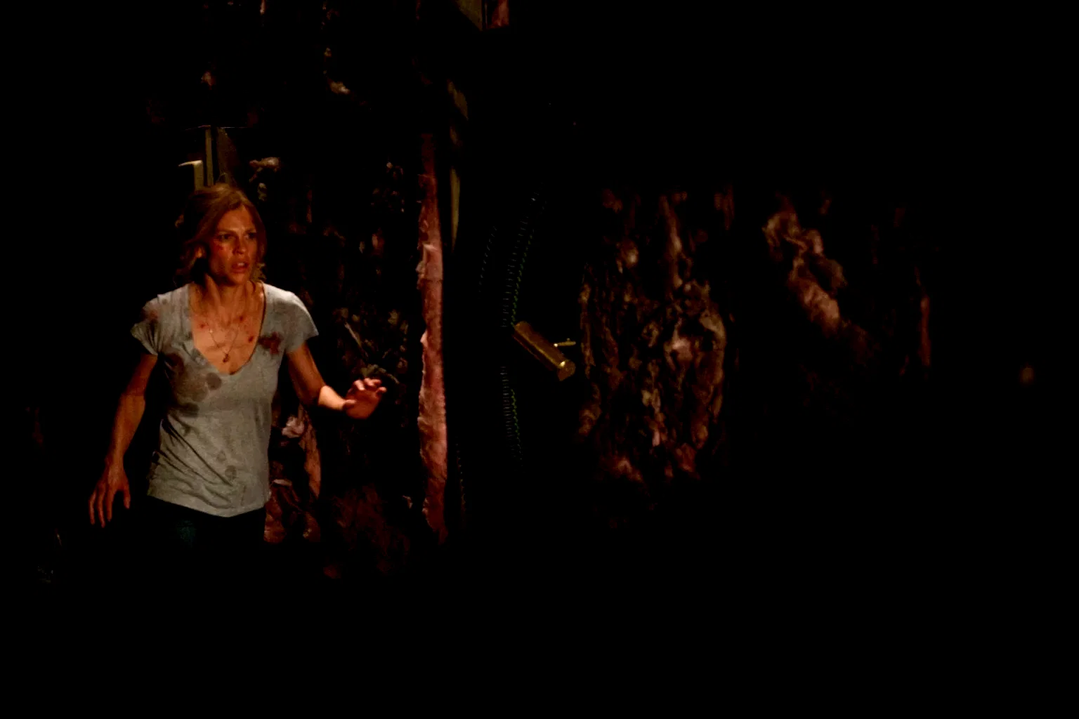 Photo 10 du film : La Locataire