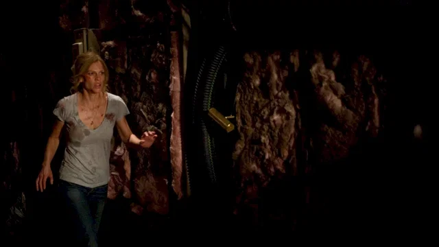 Photo 10 du film : La Locataire