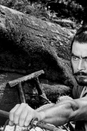 Affiche du film : La forteresse cachee