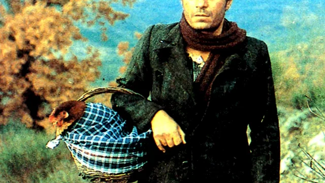Photo du film : Une Poule, un train... et quelques Monstres