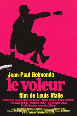 Affiche du film : Le Voleur