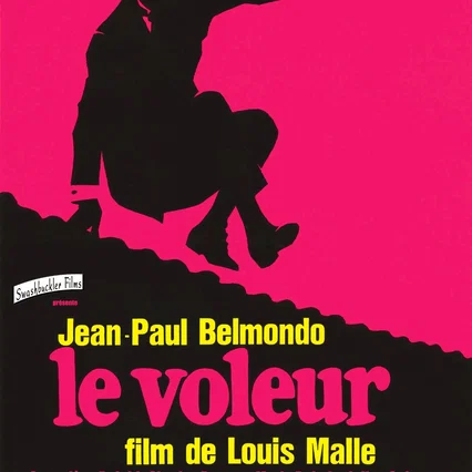 Miniature photo du film : Le Voleur