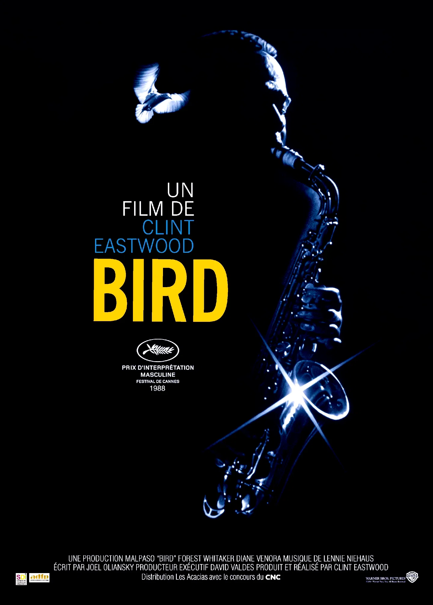Affiche du film : Bird