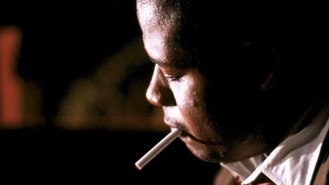 Photo du film : Bird