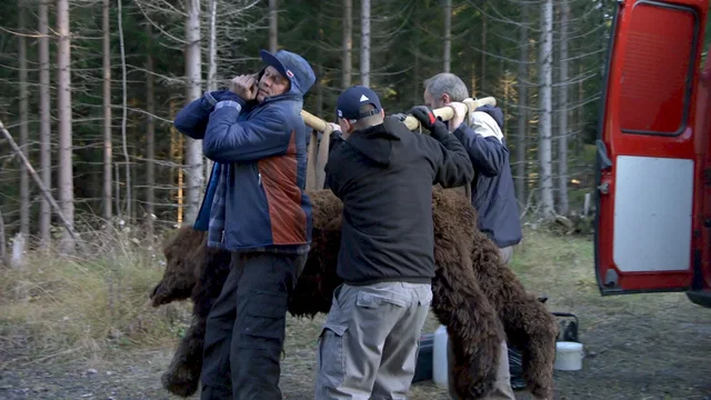 Photo du film : Troll Hunter