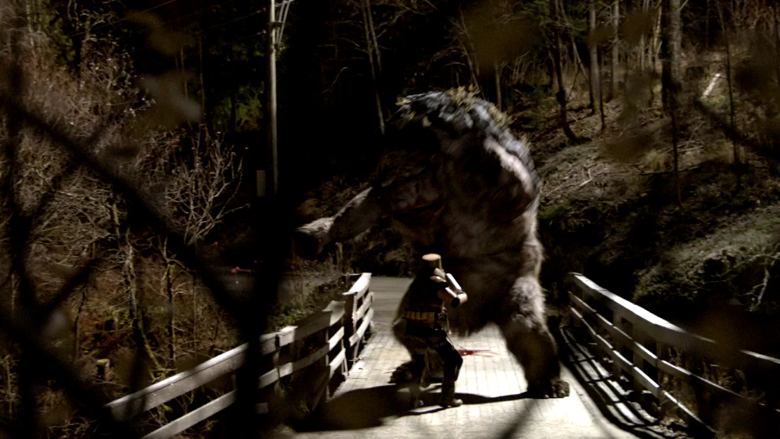 Photo 2 du film : Troll Hunter