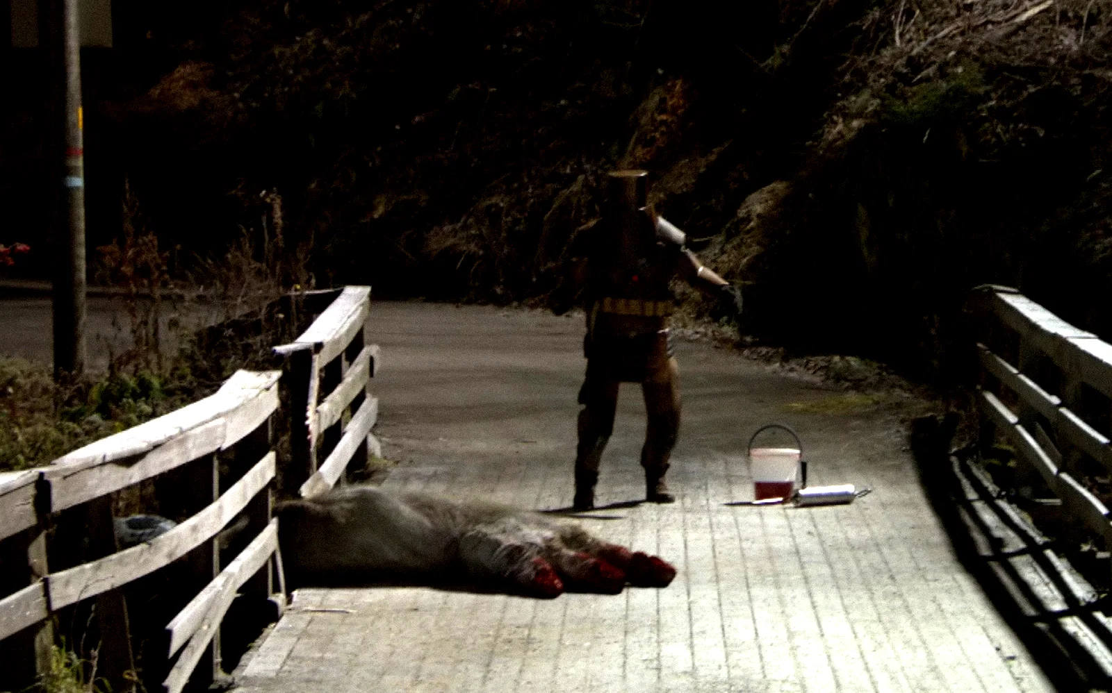 Photo 7 du film : Troll Hunter