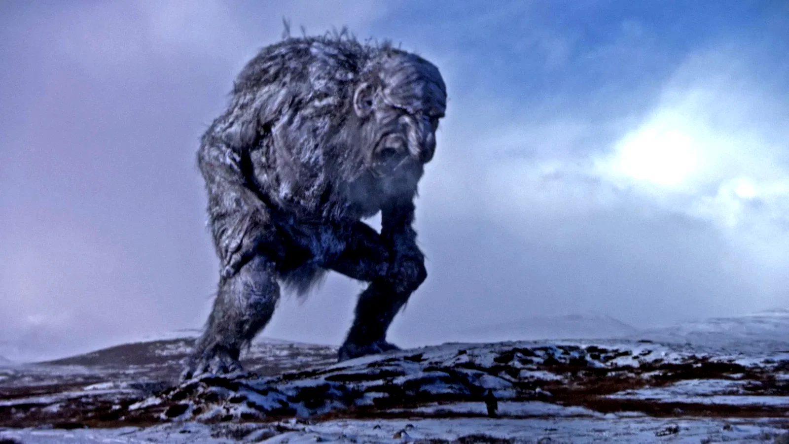 Photo 16 du film : Troll Hunter