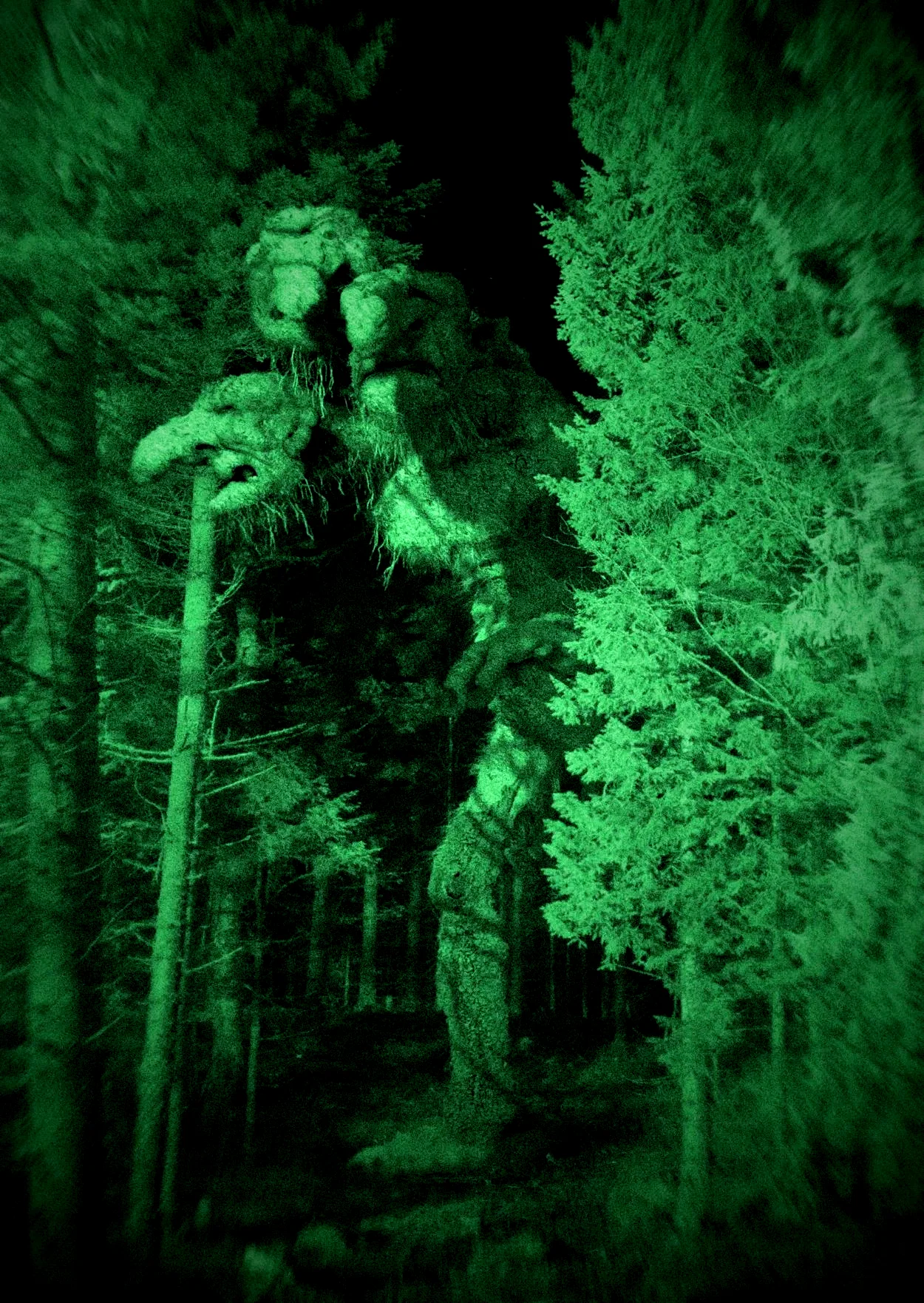 Photo 24 du film : Troll Hunter