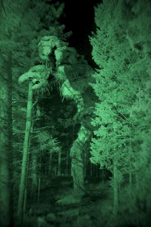 Photo du film : Troll Hunter