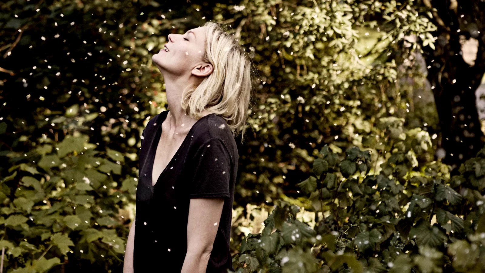 Photo du film : Melancholia