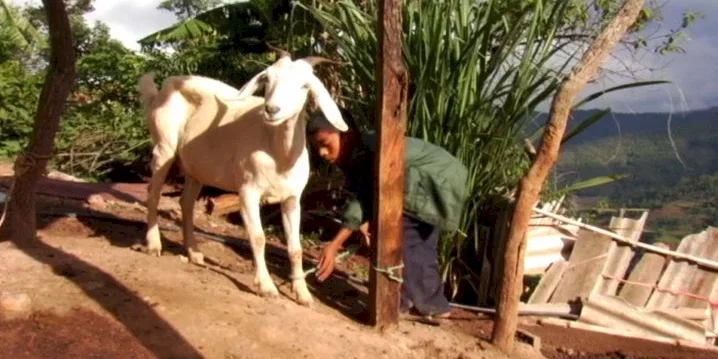 Photo 4 du film : Los Herederos - Les Enfants héritiers