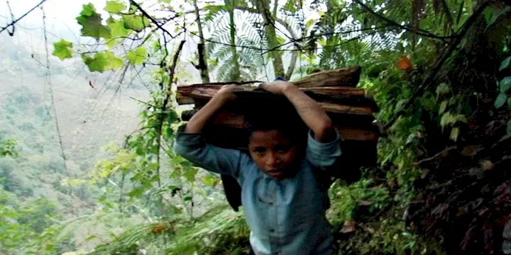 Photo 5 du film : Los Herederos - Les Enfants héritiers