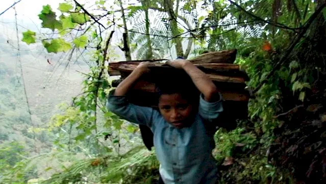 Affiche du film : Los Herederos - Les Enfants héritiers