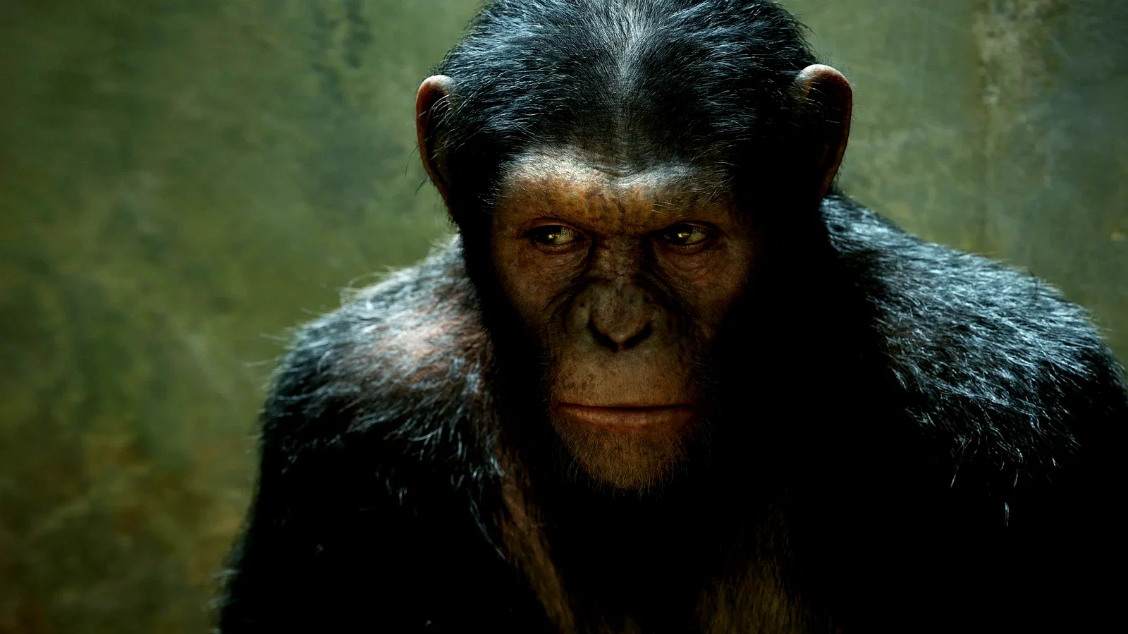 Photo 5 du film : La planète des singes : les origines 