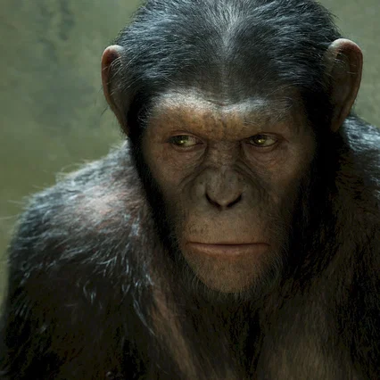 Miniature photo du film : La planète des singes : les origines 