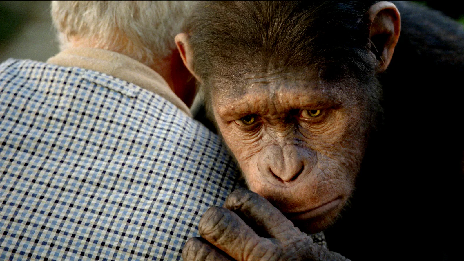 Photo 6 du film : La planète des singes : les origines 