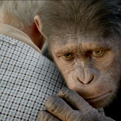 Miniature photo du film : La planète des singes : les origines 
