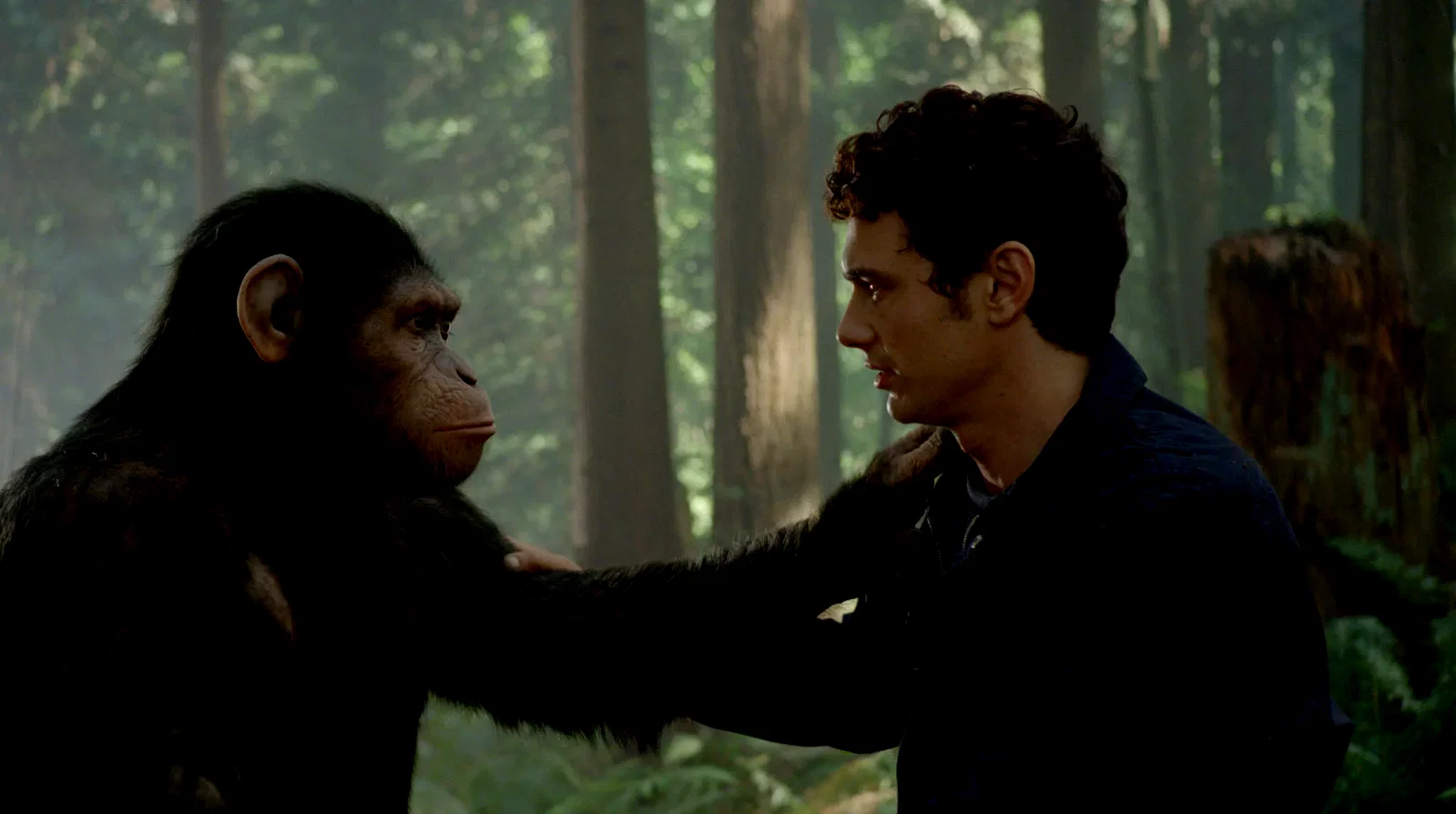 Photo 7 du film : La planète des singes : les origines 