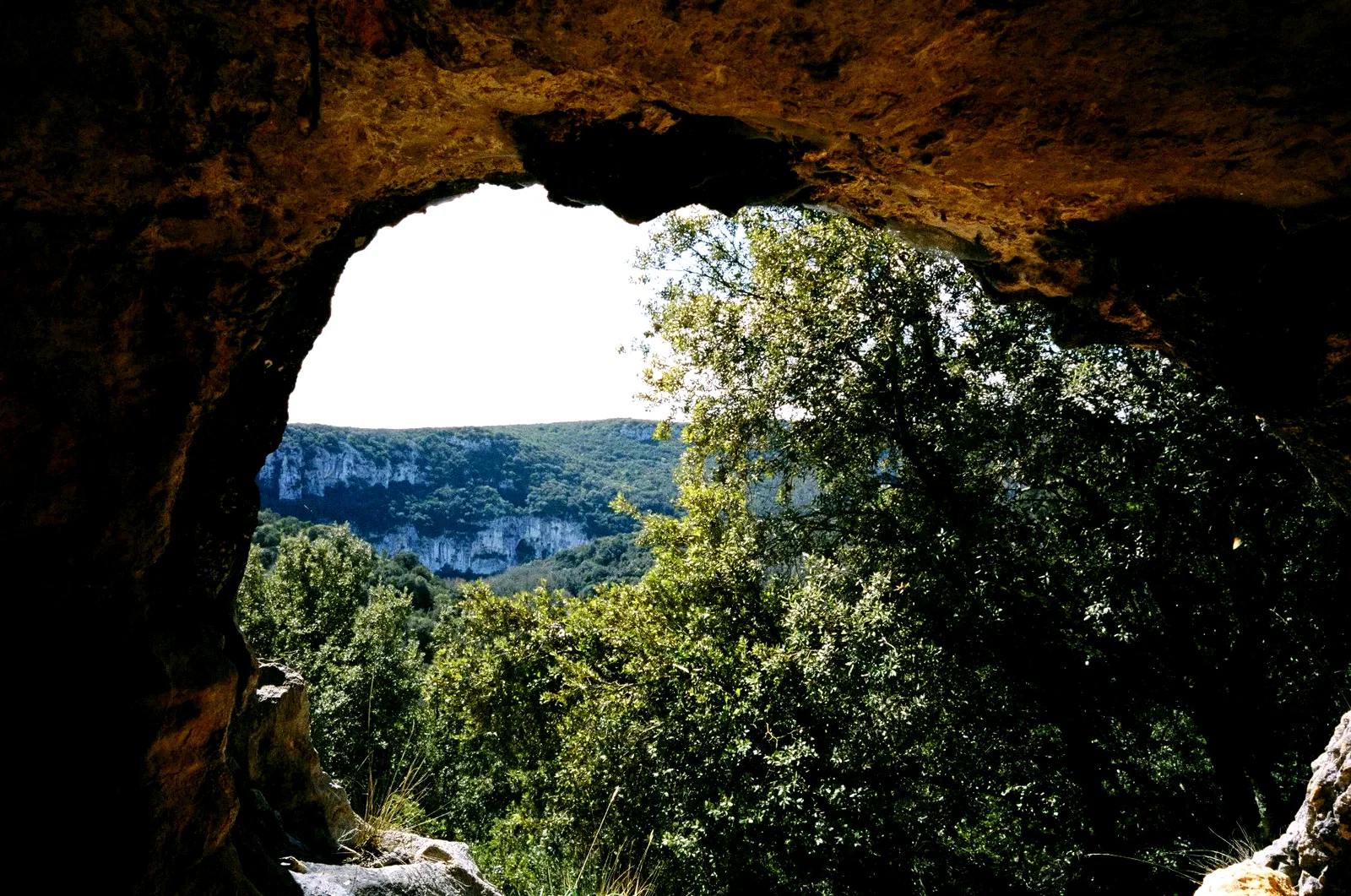 Photo 6 du film : La Grotte des rêves perdus