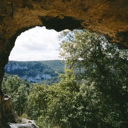 Miniature photo du film : La Grotte des rêves perdus
