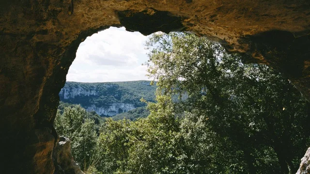 Photo 6 du film : La Grotte des rêves perdus