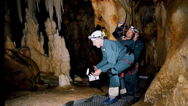 Photo 11 du film : La Grotte des rêves perdus