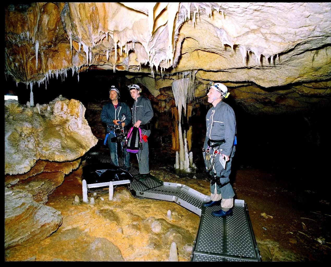 Photo 12 du film : La Grotte des rêves perdus