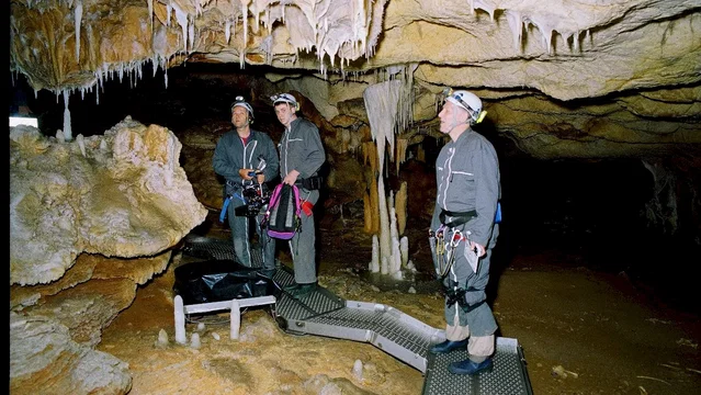 Photo 12 du film : La Grotte des rêves perdus