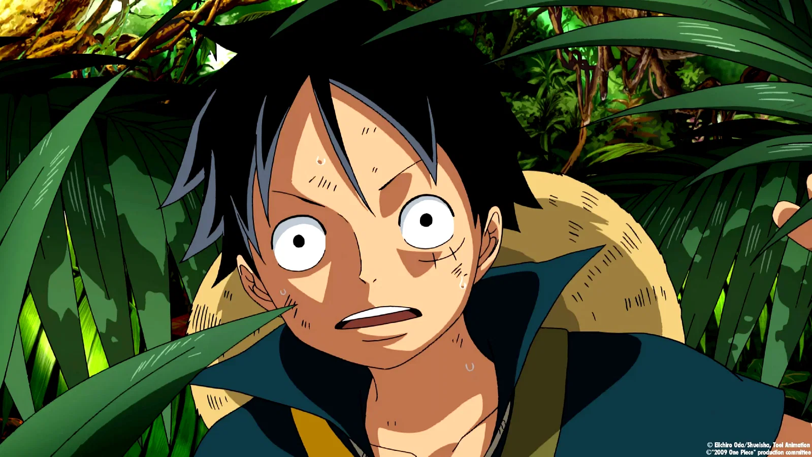 Photo 6 du film : One Piece - Strong World