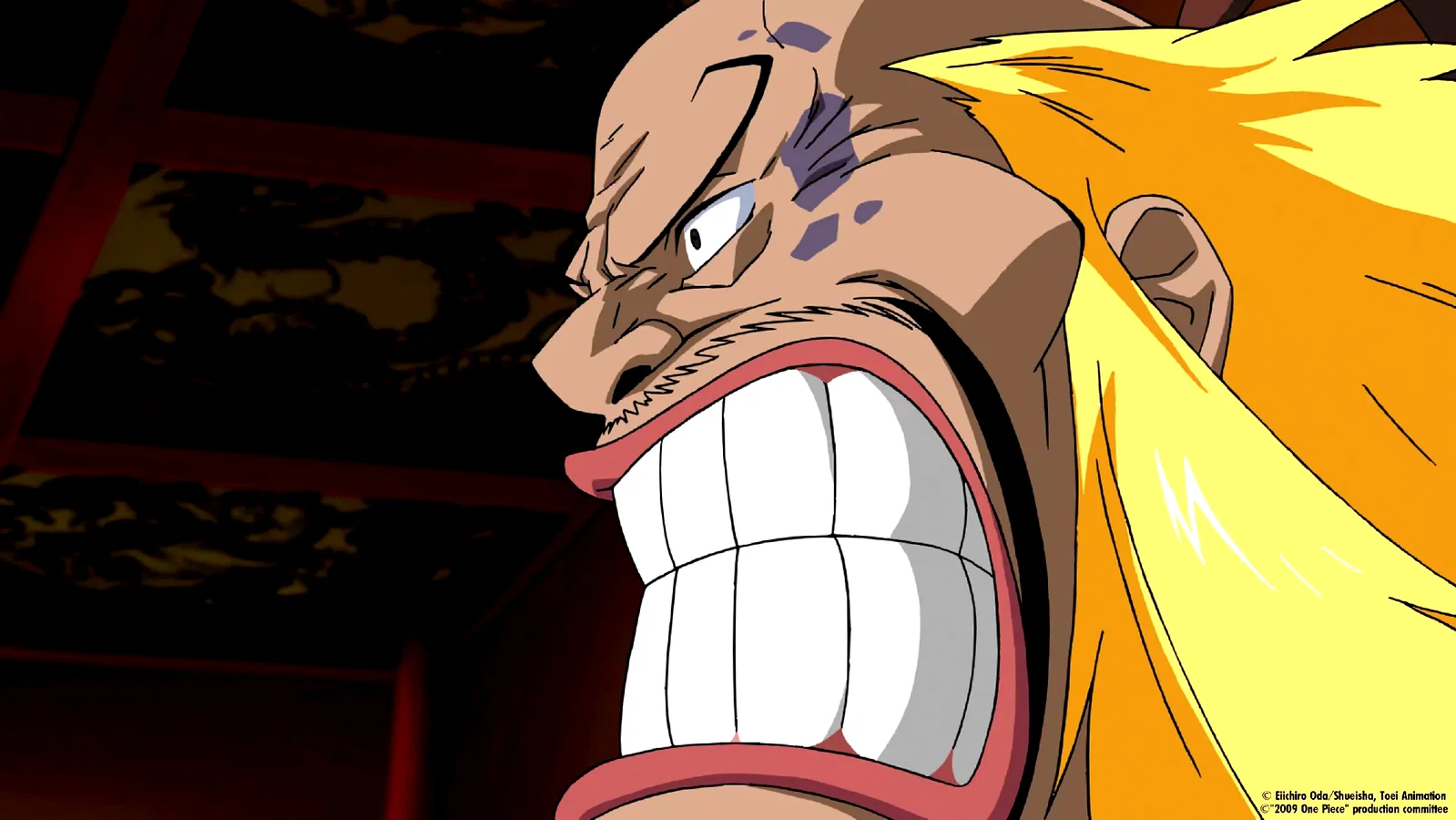 Photo 10 du film : One Piece - Strong World