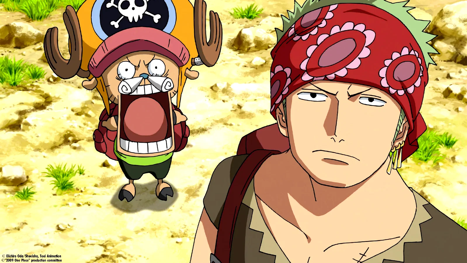 Photo 14 du film : One Piece - Strong World