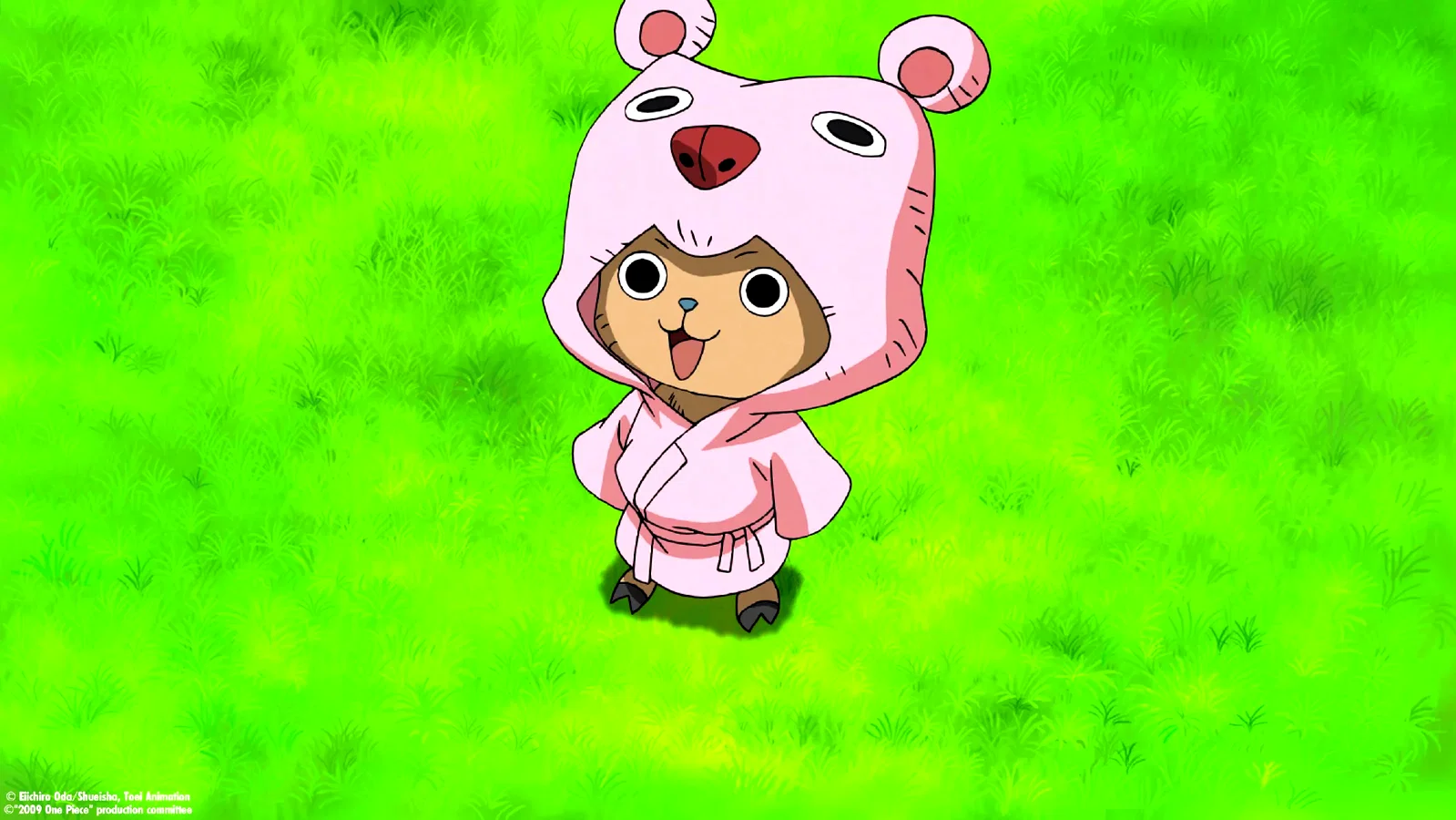 Photo 15 du film : One Piece - Strong World