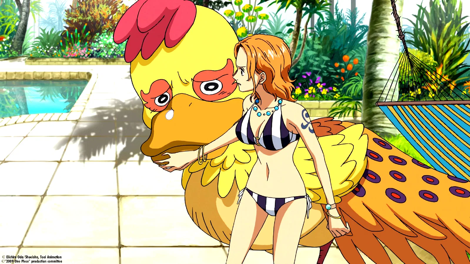 Photo 17 du film : One Piece - Strong World