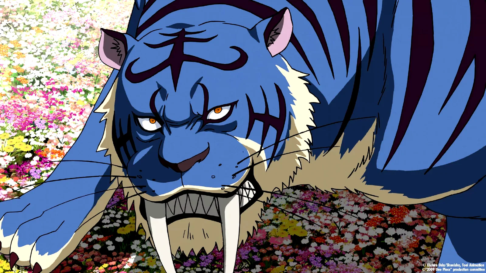 Photo 21 du film : One Piece - Strong World