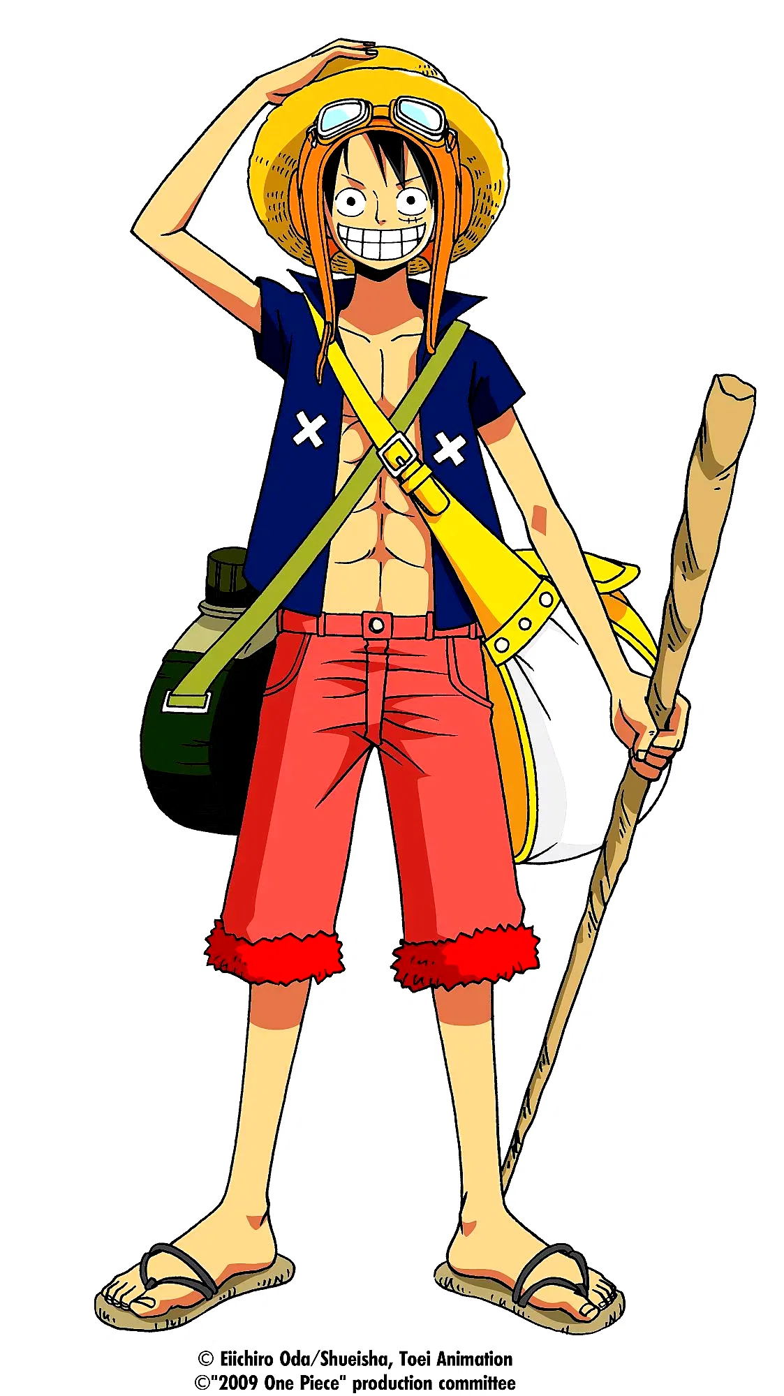 Photo 26 du film : One Piece - Strong World