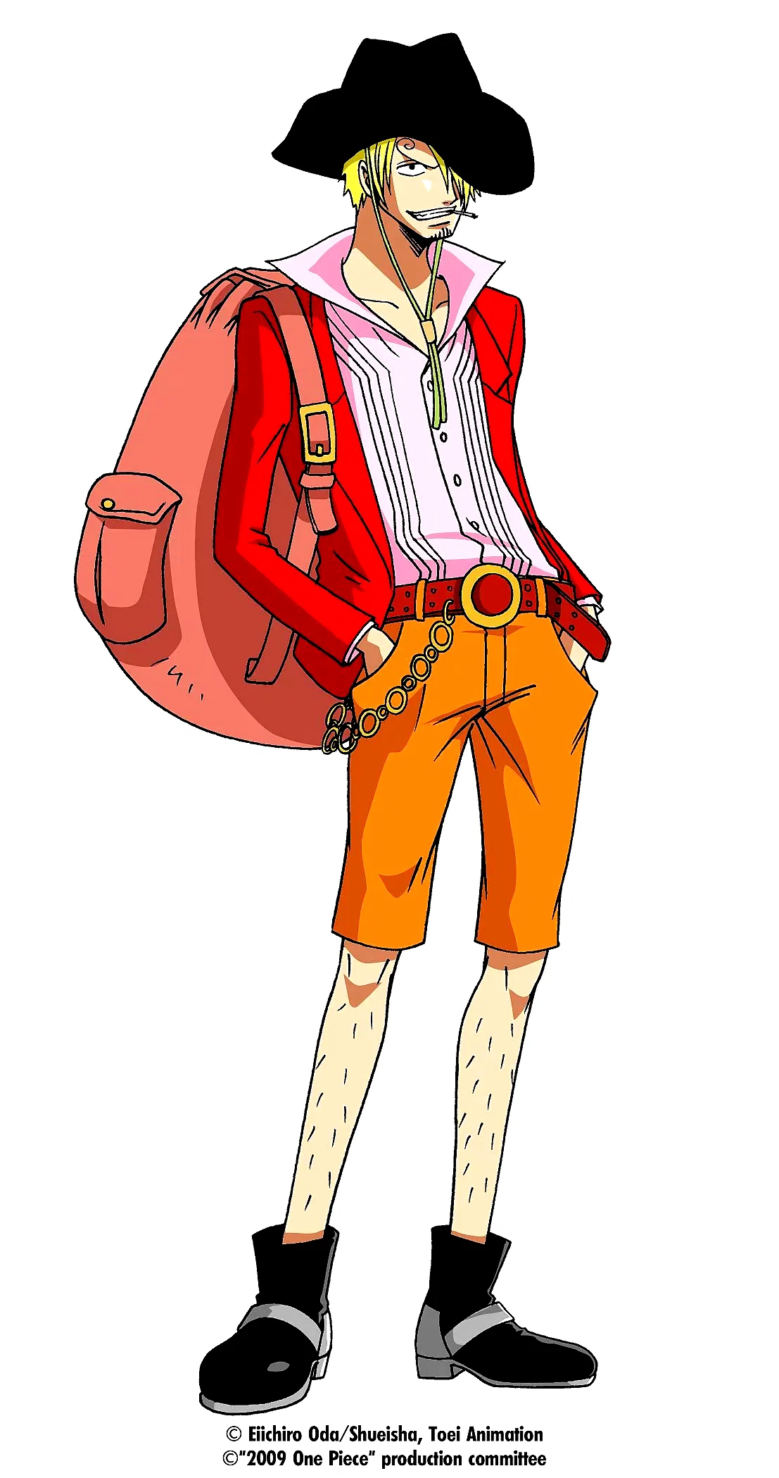 Photo 30 du film : One Piece - Strong World